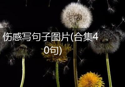 伤感写句子图片(合集40句)