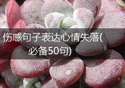 伤感句子表达心情失落(必备50句)