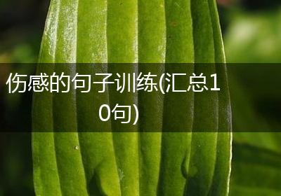 伤感的句子训练(汇总10句)