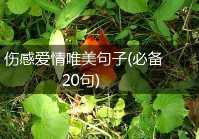 伤感爱情唯美句子(必备20句)