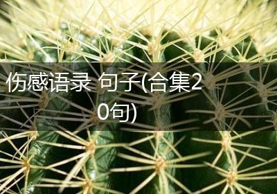 伤感语录 句子(合集20句)
