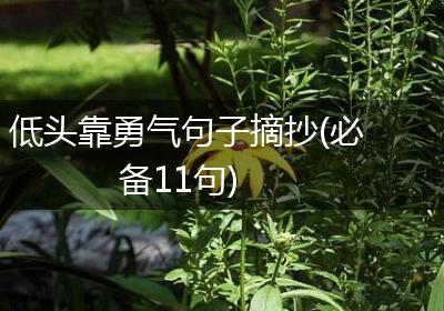 低头靠勇气句子摘抄(必备11句)