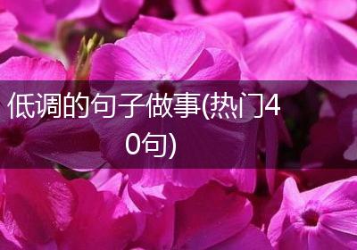 低调的句子做事(热门40句)