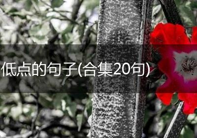 低点的句子(合集20句)