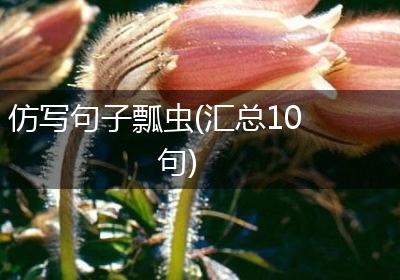 仿写句子瓢虫(汇总10句)