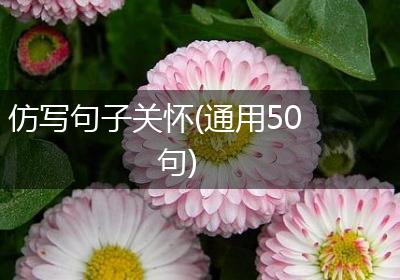仿写句子关怀(通用50句)