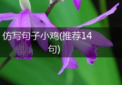 仿写句子小鸡(推荐14句)