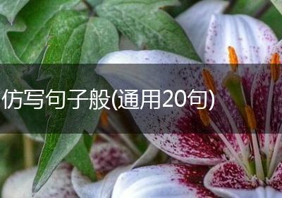 仿写句子般(通用20句)