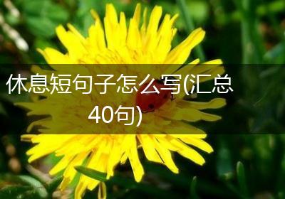 休息短句子怎么写(汇总40句)