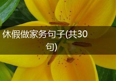 休假做家务句子(共30句)