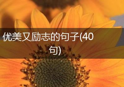 优美又励志的句子(40句)
