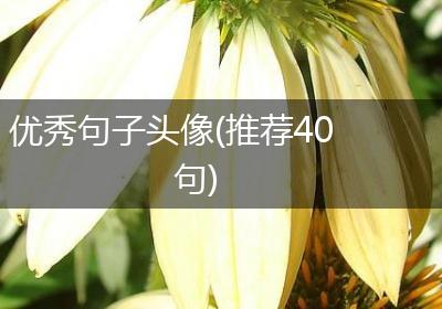 优秀句子头像(推荐40句)