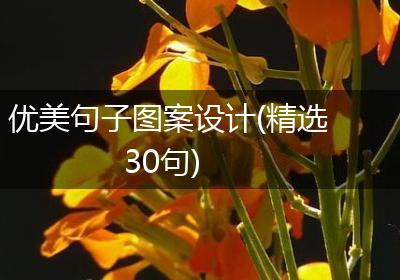 优美句子图案设计(精选30句)