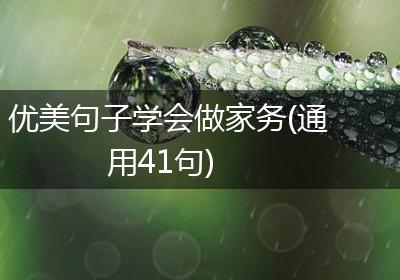 优美句子学会做家务(通用41句)