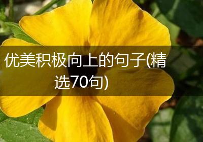 优美积极向上的句子(精选70句)
