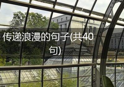 传递浪漫的句子(共40句)