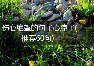 伤心绝望的句子心凉了(推荐60句)