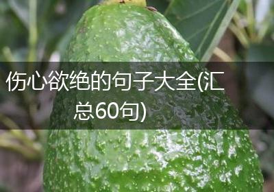 伤心欲绝的句子大全(汇总60句)