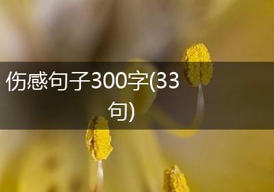 伤感句子300字(33句)