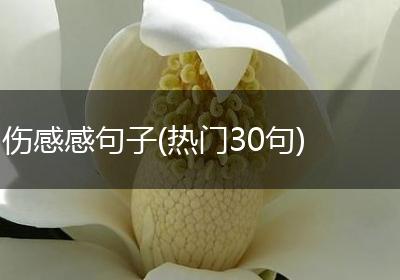伤感感句子(热门30句)
