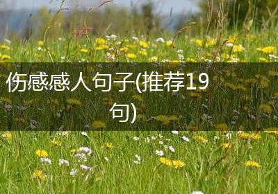 伤感感人句子(推荐19句)