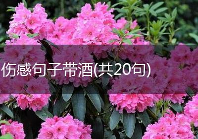 伤感句子带酒(共20句)