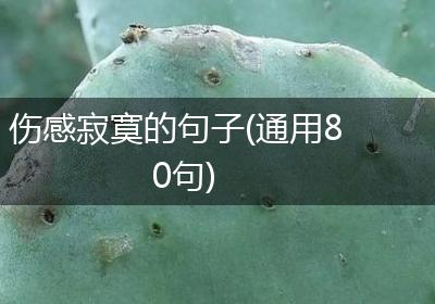 伤感寂寞的句子(通用80句)