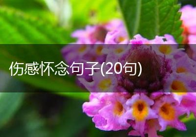 伤感怀念句子(20句)