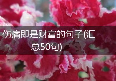 伤痛即是财富的句子(汇总50句)