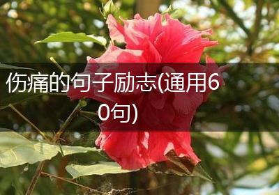 伤痛的句子励志(通用60句)