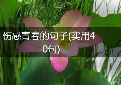 伤感青春的句子(实用40句)