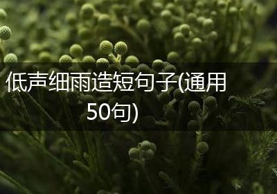 低声细雨造短句子(通用50句)
