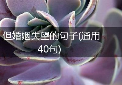 但婚姻失望的句子(通用40句) 但婚姻失望的句子(通用40句)