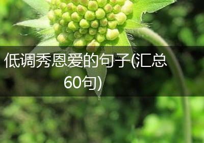 低调秀恩爱的句子(汇总60句)