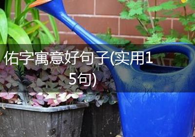 佑字寓意好句子(实用15句)
