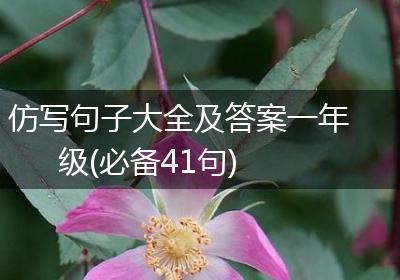 仿写句子大全及答案一年级(必备41句)