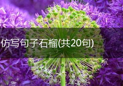 仿写句子石榴(共20句)