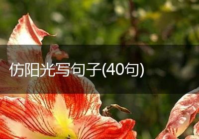 仿阳光写句子(40句)