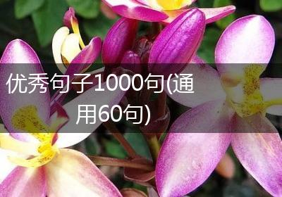 优秀句子1000句(通用60句)