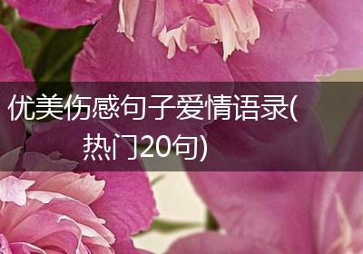 优美伤感句子爱情语录(热门20句)