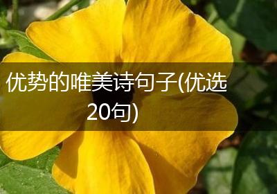优势的唯美诗句子(优选20句)