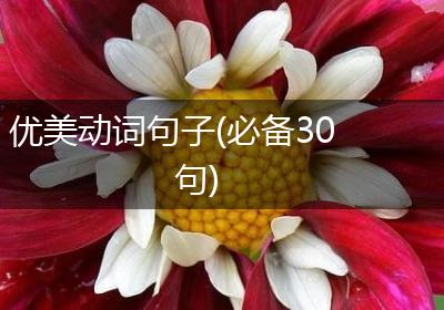 优美动词句子(必备30句)