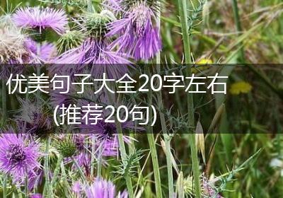 优美句子大全20字左右(推荐20句)
