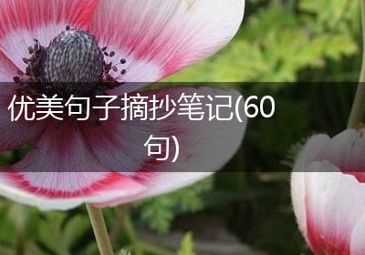 优美句子摘抄笔记(60句)