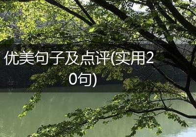 优美句子及点评(实用20句)