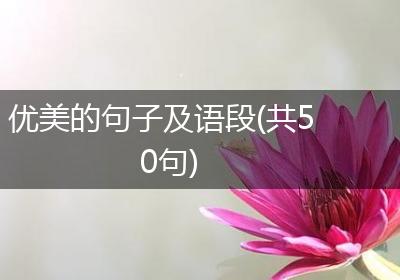 优美的句子及语段(共50句)