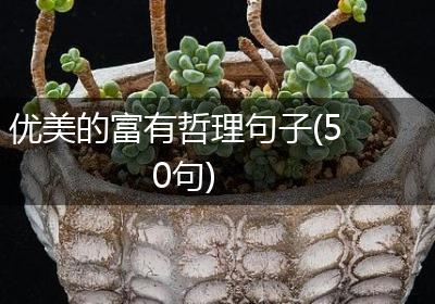 优美的富有哲理句子(50句)
