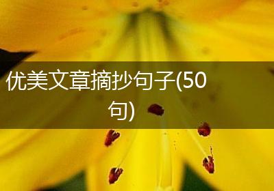 优美文章摘抄句子(50句)