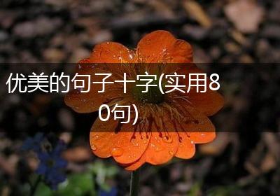优美的句子十字(实用80句)
