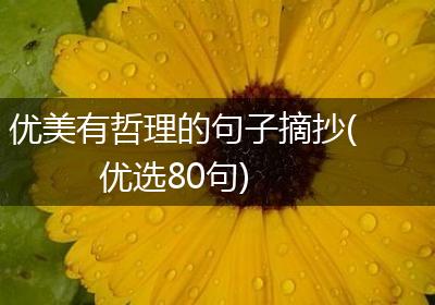 优美有哲理的句子摘抄(优选80句)